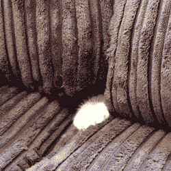 Iz-Safe-_bdcd9.gif