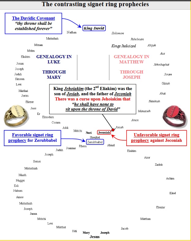 Jesus Genealogy & Signet Prophecy.jpg