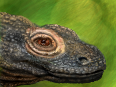 Komodo small.png