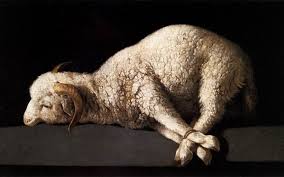 lamb..jpg