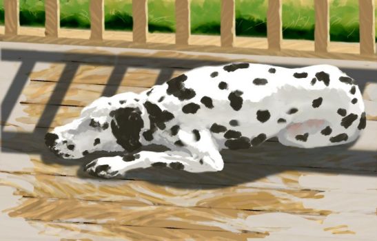 lazy.jpg