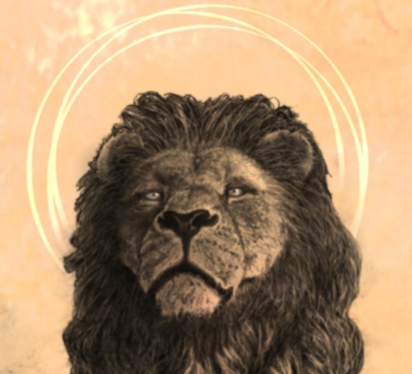lion messiah face.jpg