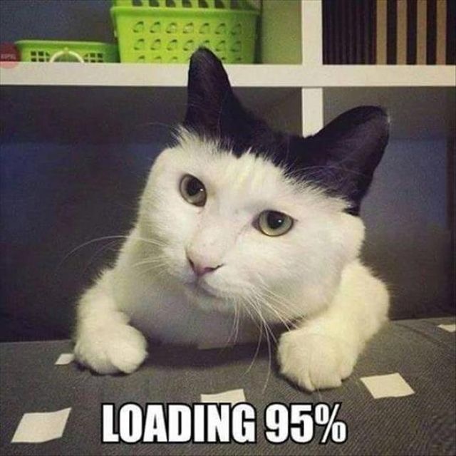 loading.jpg