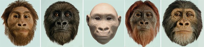 lucy-makeover.jpg