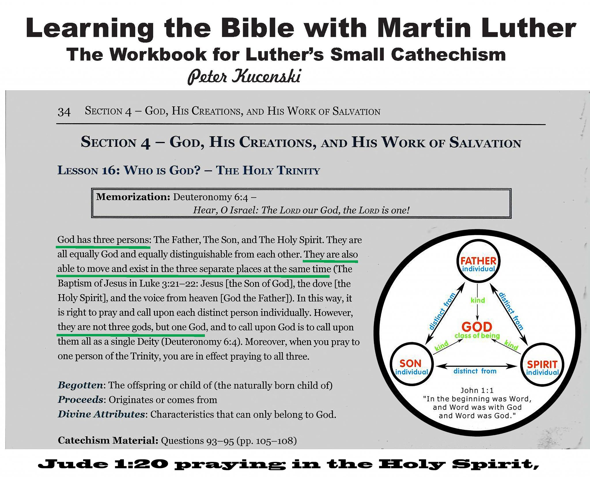 Lutheran + Graph.jpg