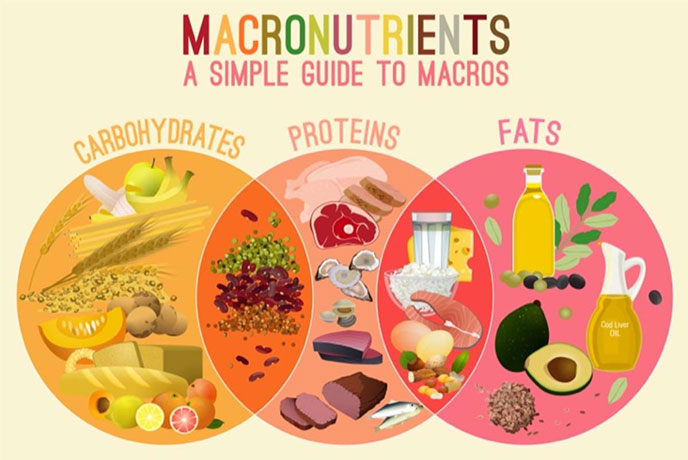 macronutrients-featured.jpg