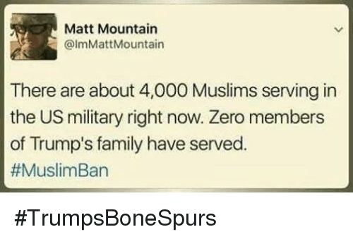 matt-mountain-lmmattmountain-there-are-about-4-000-muslims-serving-in-15874298.png