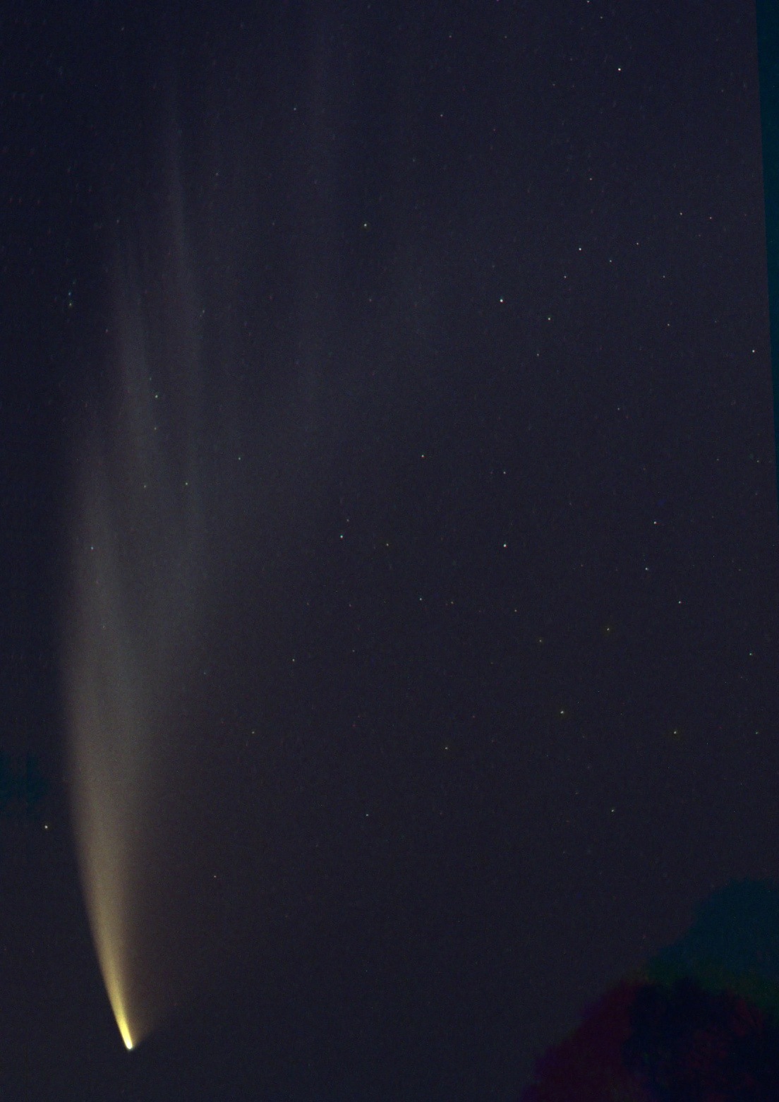 mcnaught.jpg