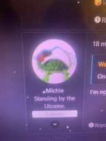 michie turtle.jpg