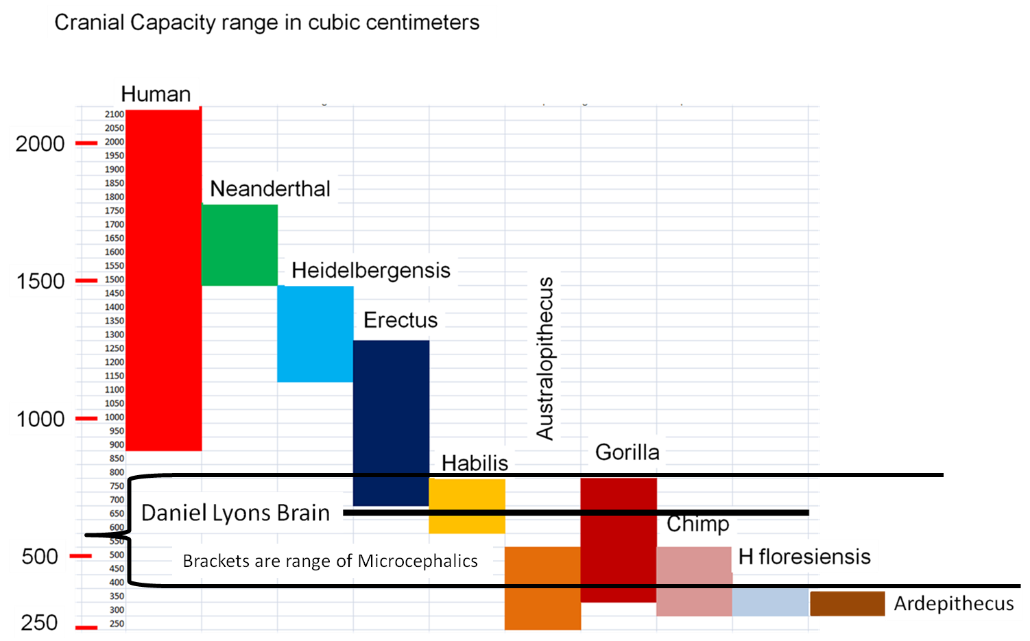 Microencephalics brain size with ardepithecus.png
