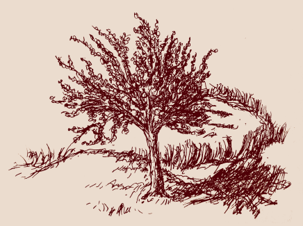 micron tree2 sm.PNG