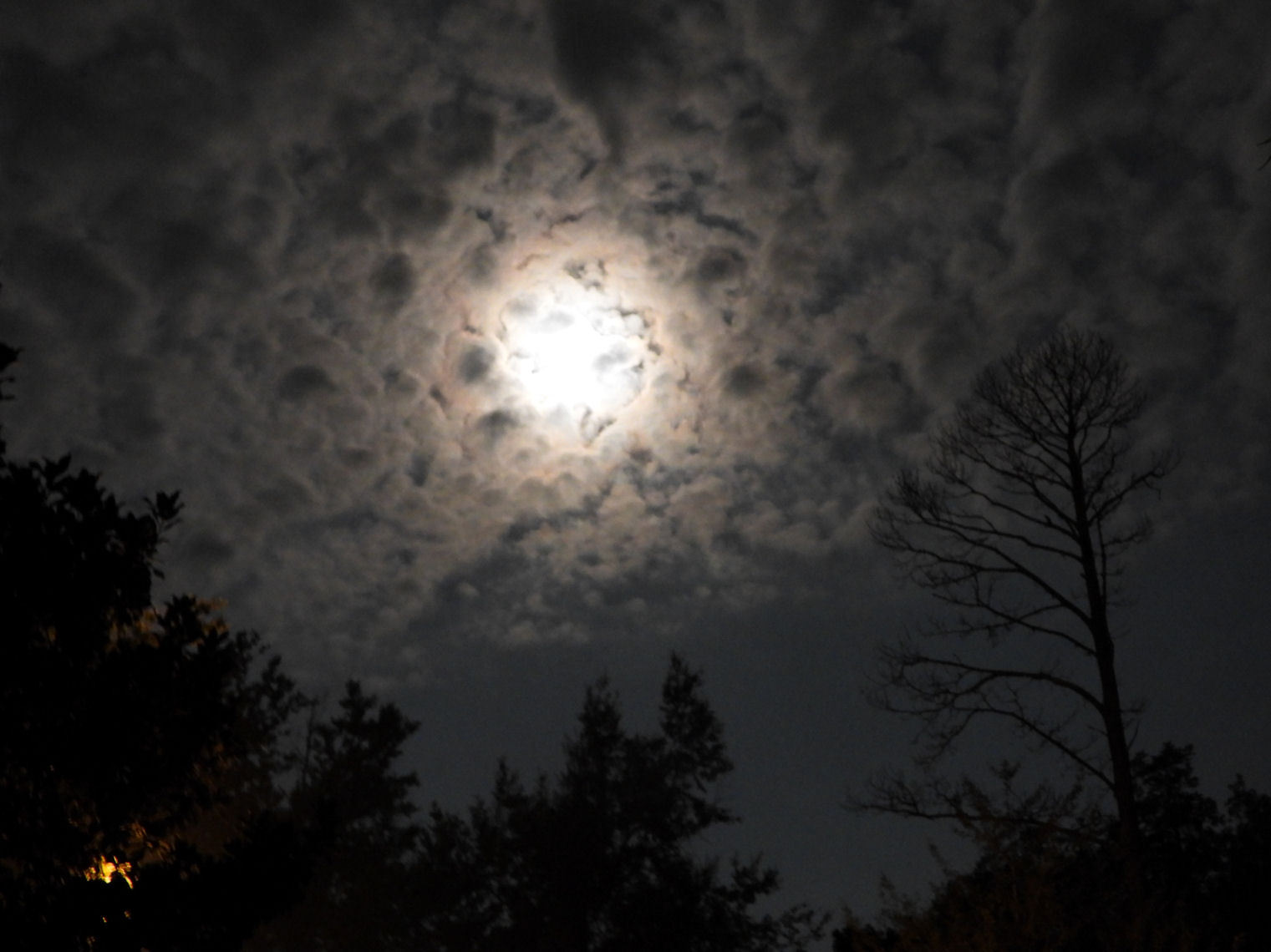 Moon 2.JPG