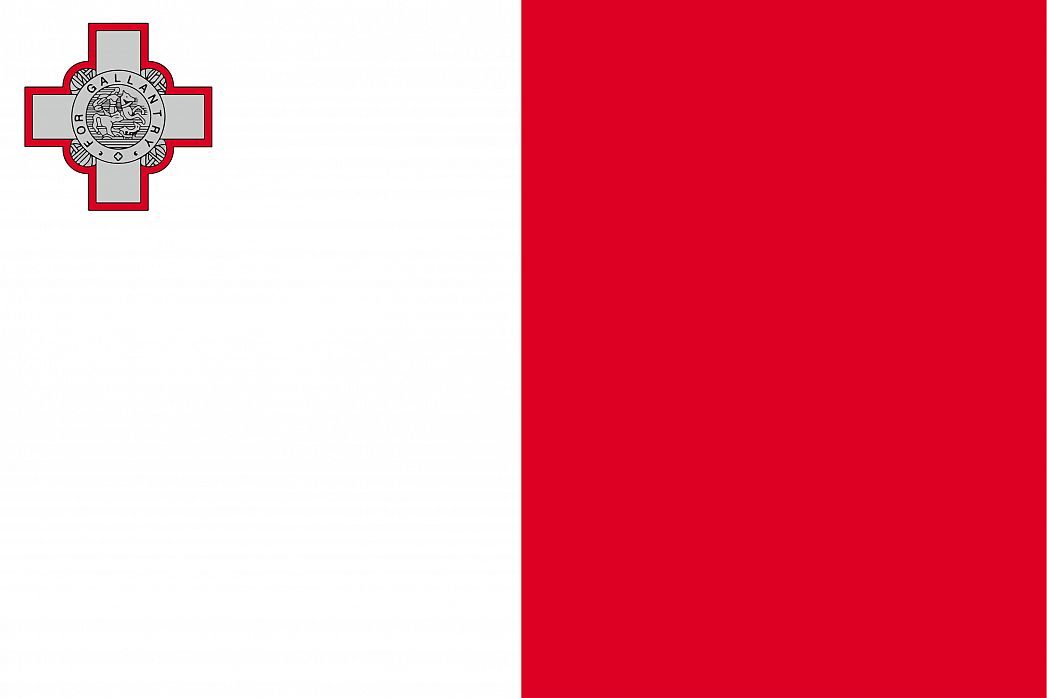 mt-flag.jpg