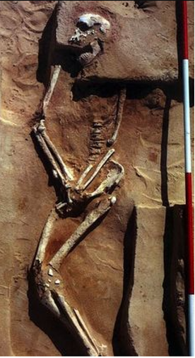 Mungo_Man.png