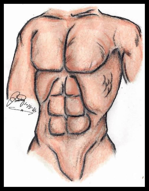 MuscularFINAL.jpg