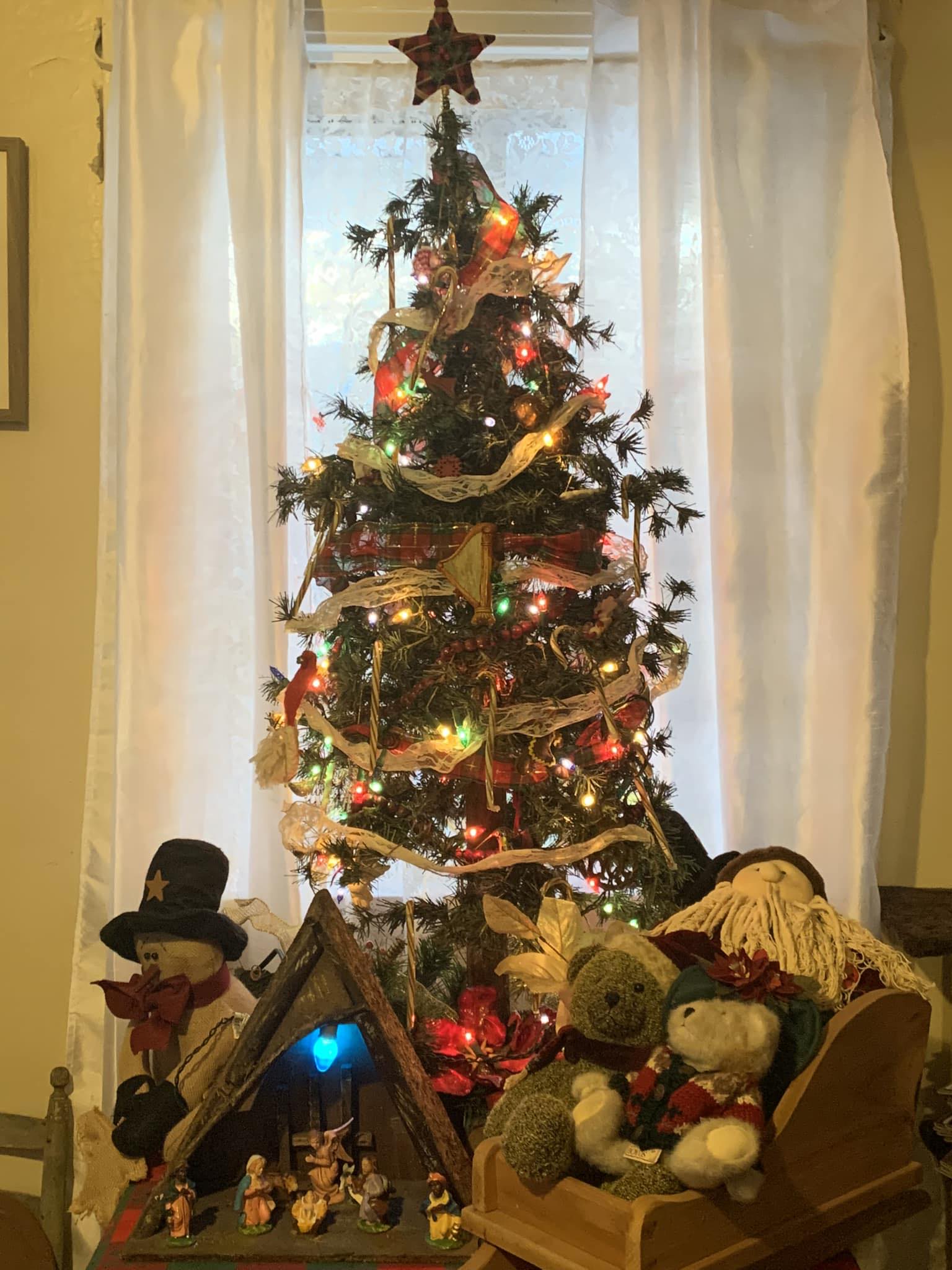 my tree.jpg