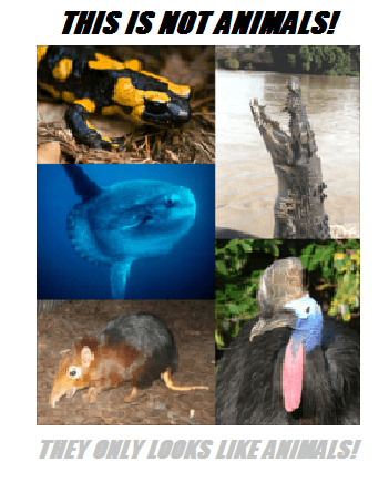 not animals.png