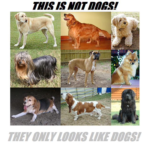 not dogs.png