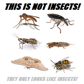 not insects.png