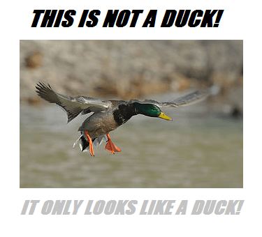 nota duck.png