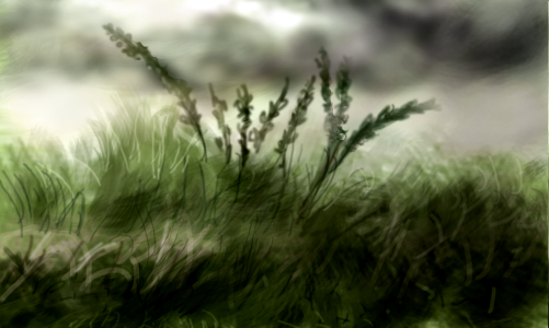 outside retouch small.png