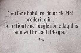 Ovid quote on pain.jpg