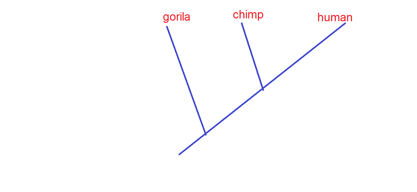 p.png
