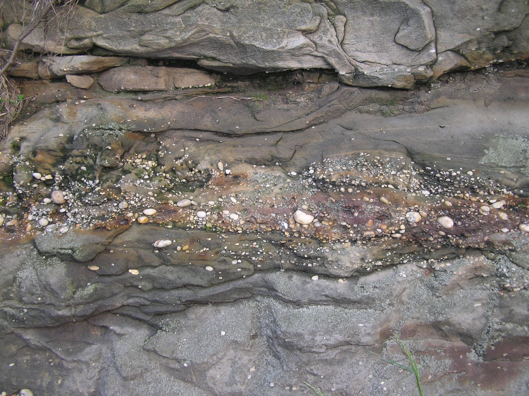 P5110024.JPG