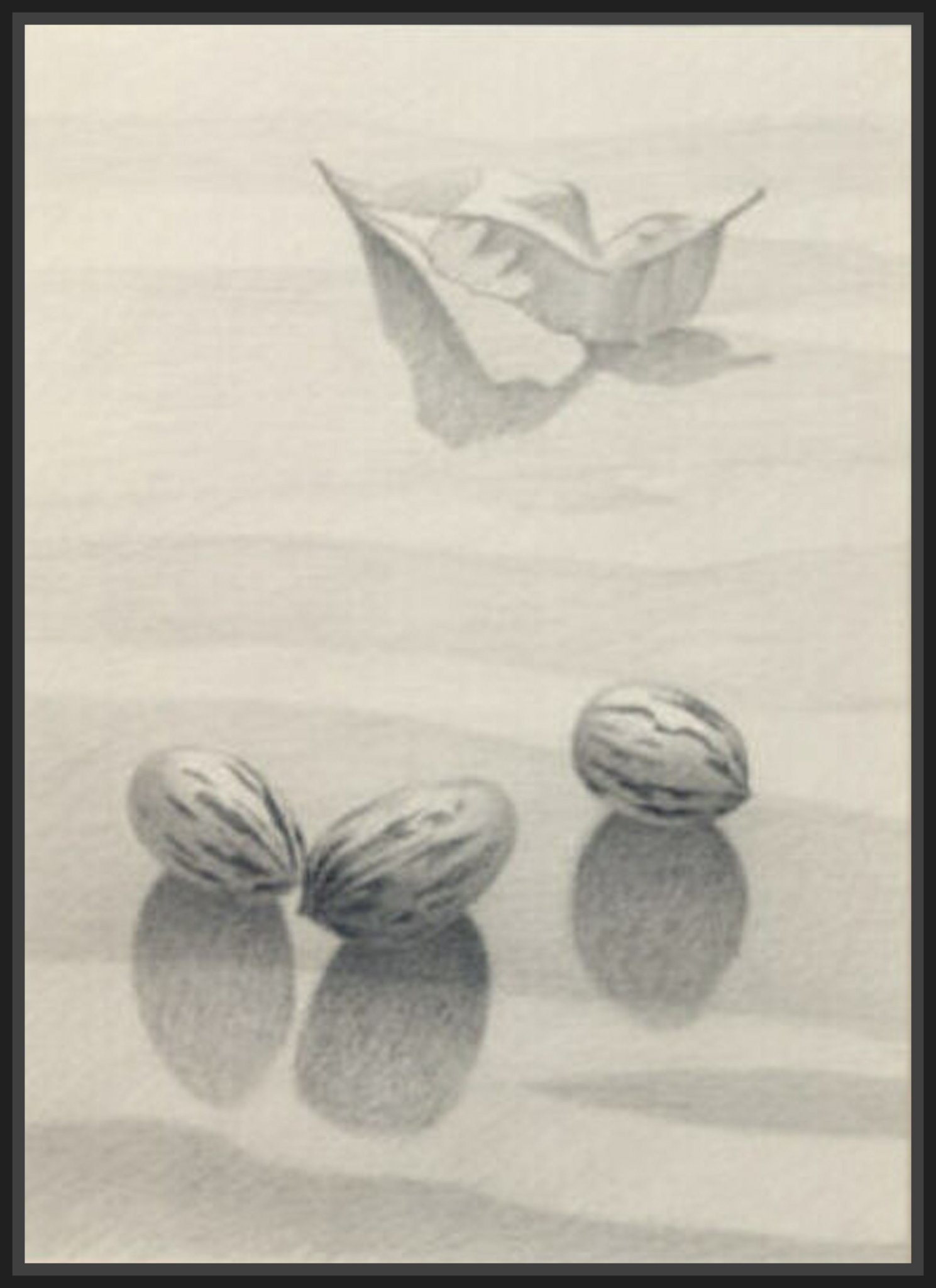 pecans+.jpg