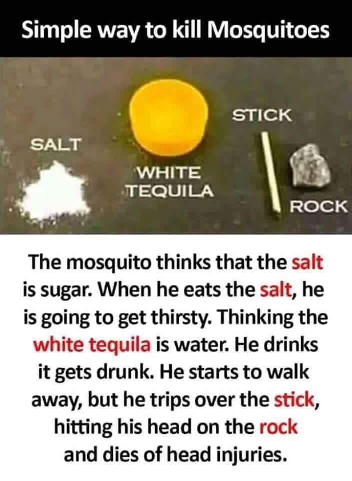 Pest Control.jpg