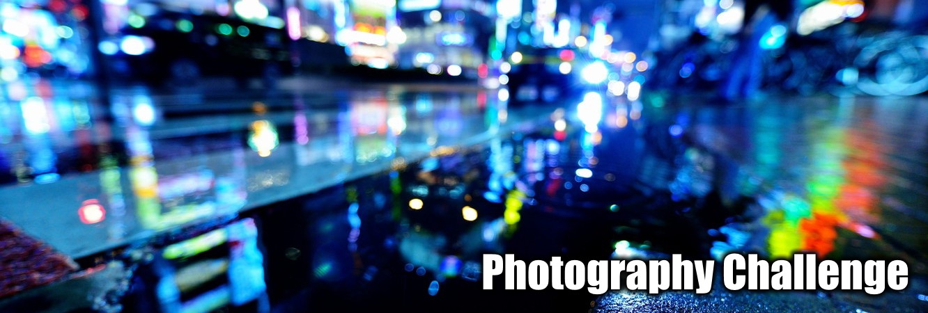 PhotoChallengeHeader.jpg