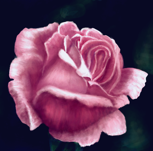 pink rose gram. color.PNG