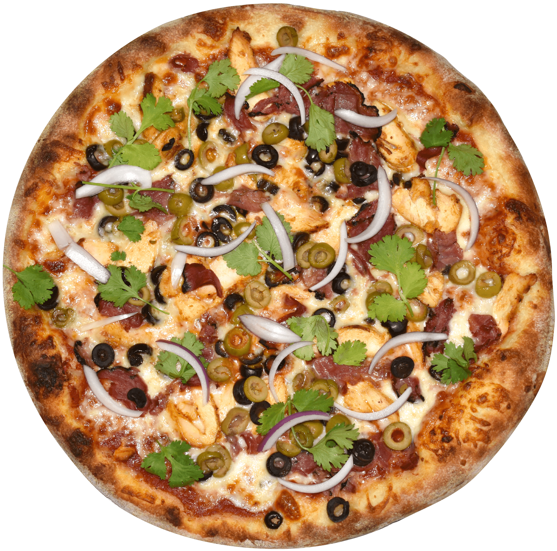 Pizza Onions Basil PNG.png