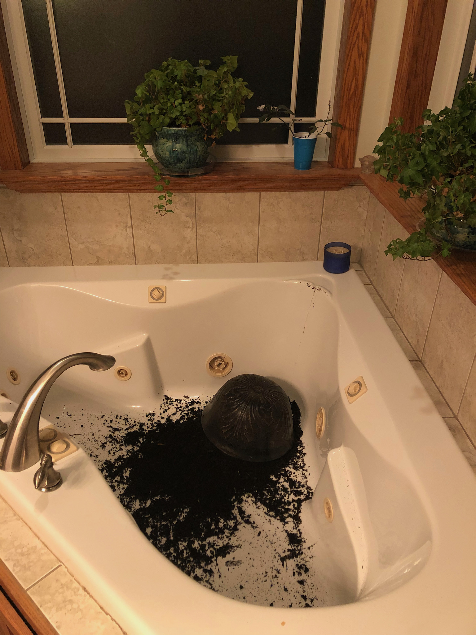 planter dumped in bathtub.jpeg