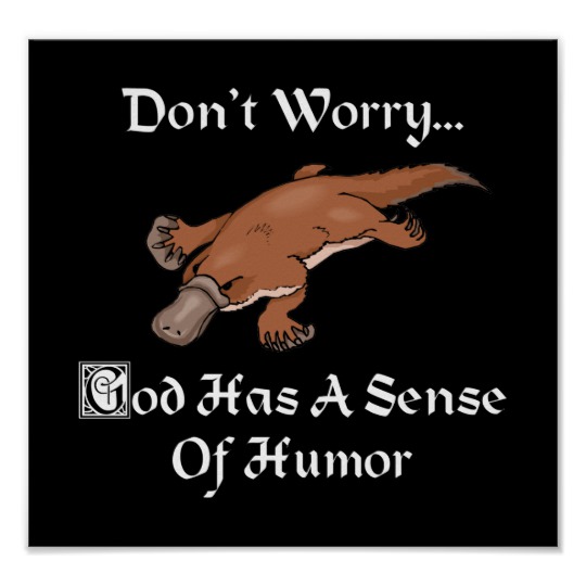 platypus god sense of humor.jpg