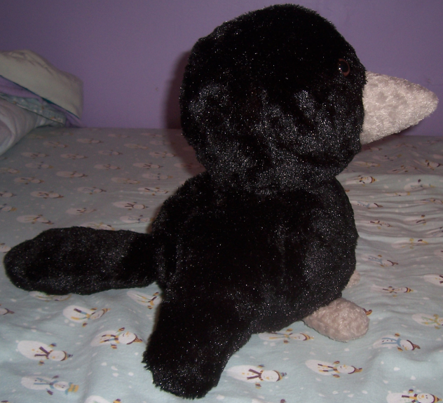 Plush Crow-Side.png