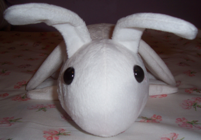 Plush moth-front.png
