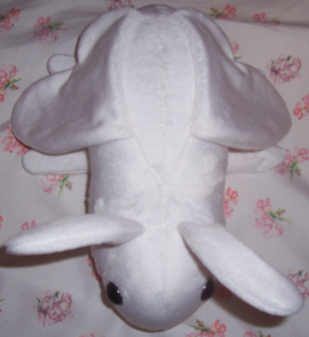 Plush moth-top.png
