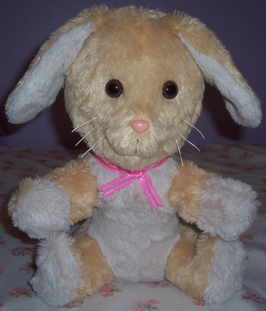 Plush rabbit-front.png