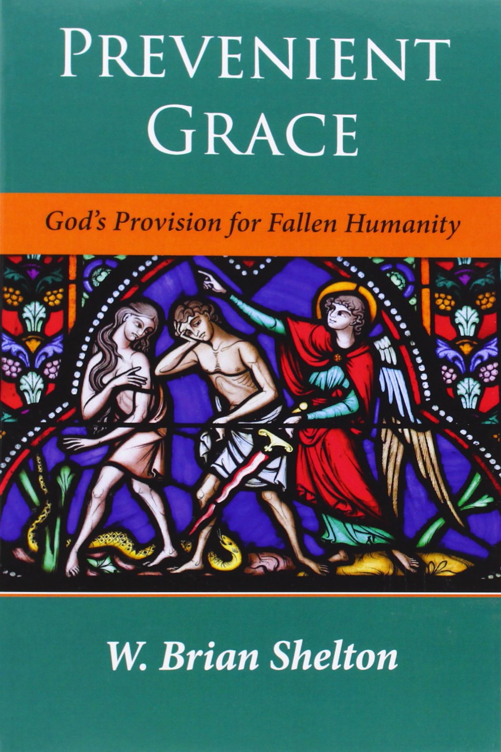 Prevenient Grace book.jpg
