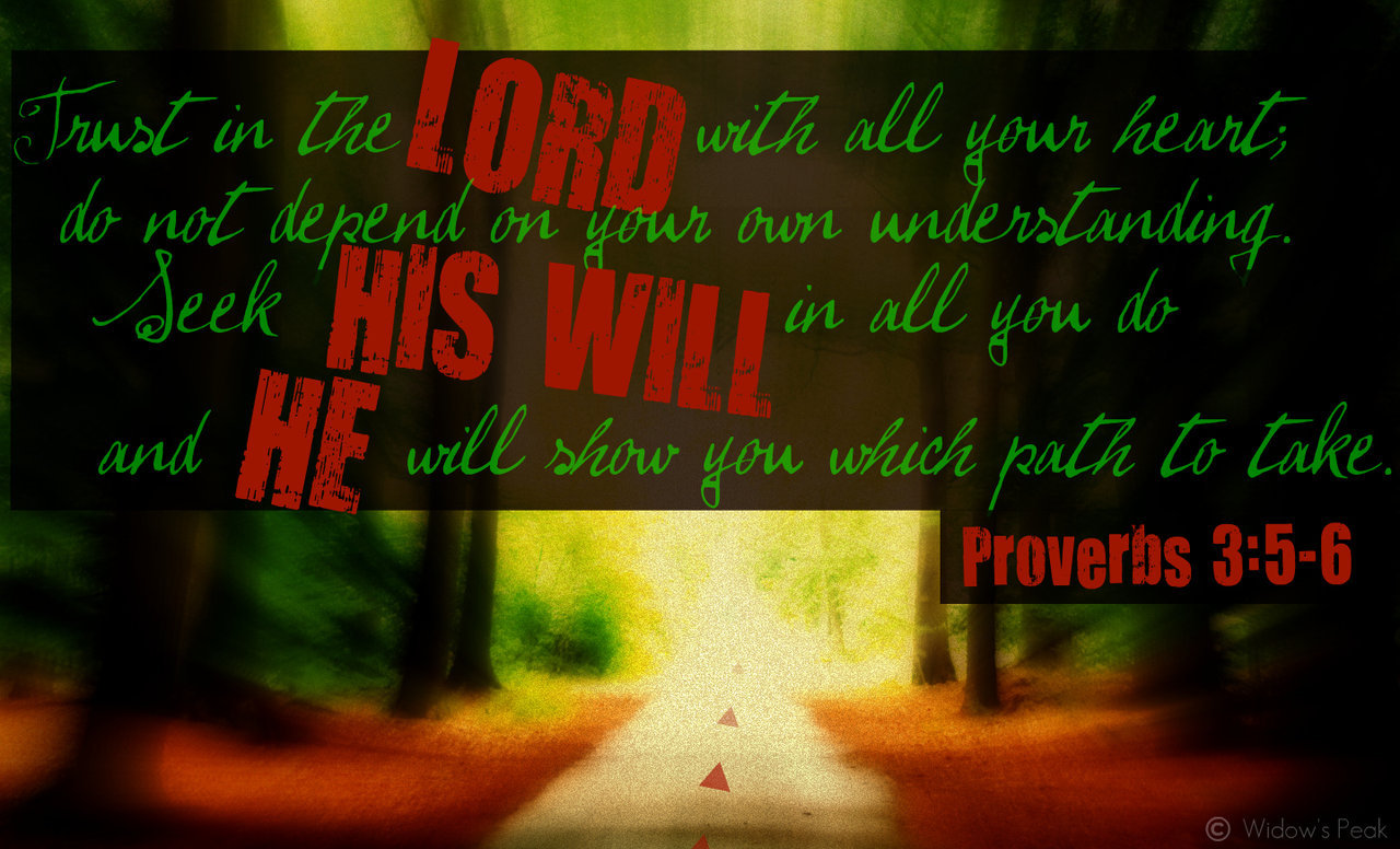 PROVERB 3.jpg