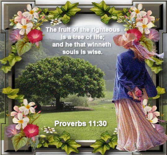 Proverbs 11 30.jpg