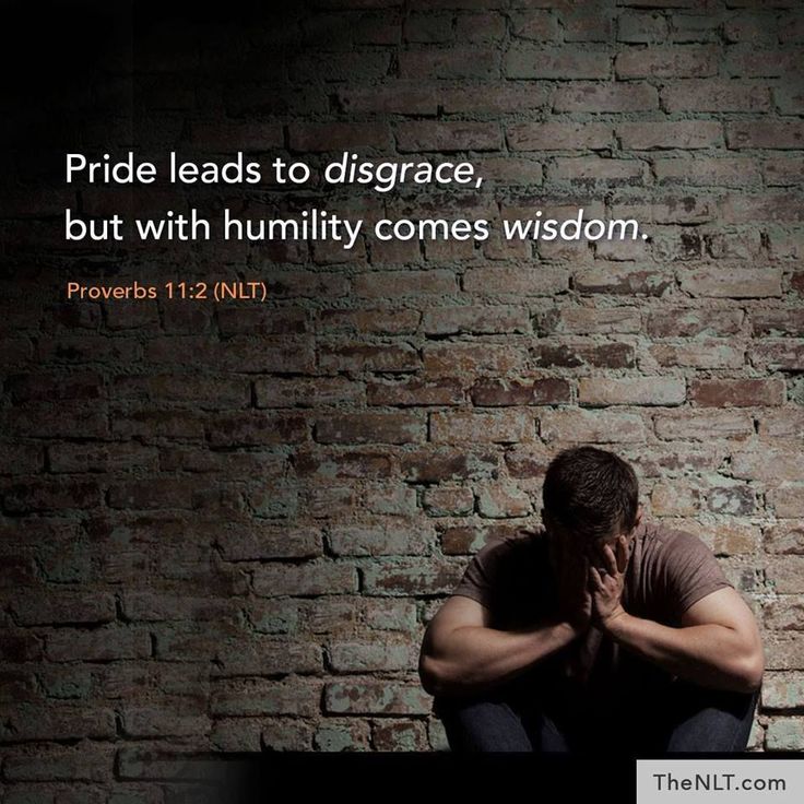 PROVERBS 11 pride.jpg