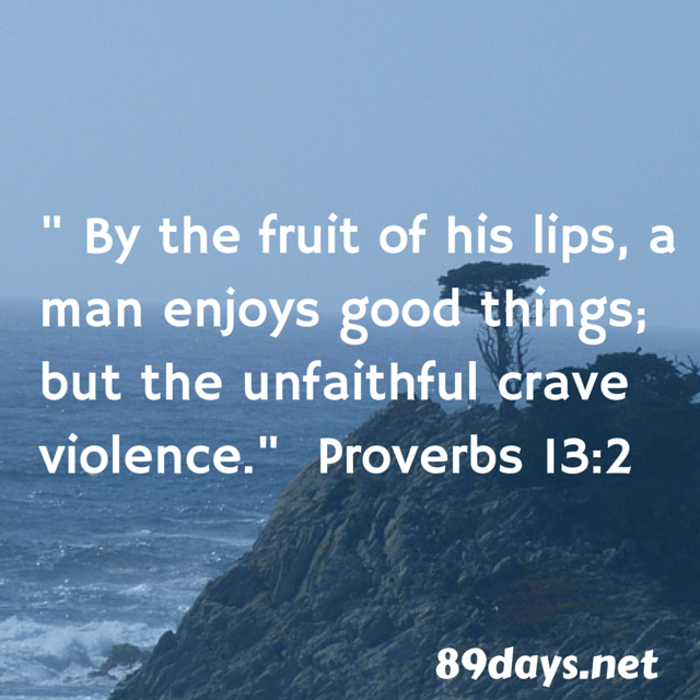PROVERBS 13 the wicked crave violence.png