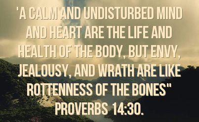 PROVERBS 14 envy is rottenness to the bones.jpg