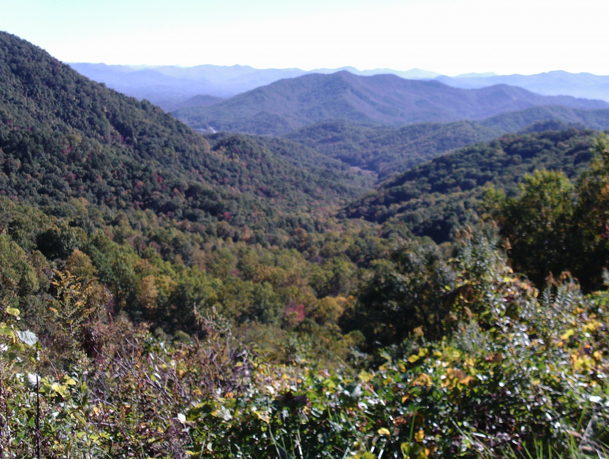 PTDC0007.JPG