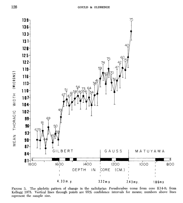 punc-eq3.jpg