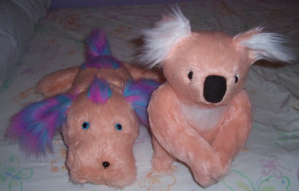 Rainbow and koala.png