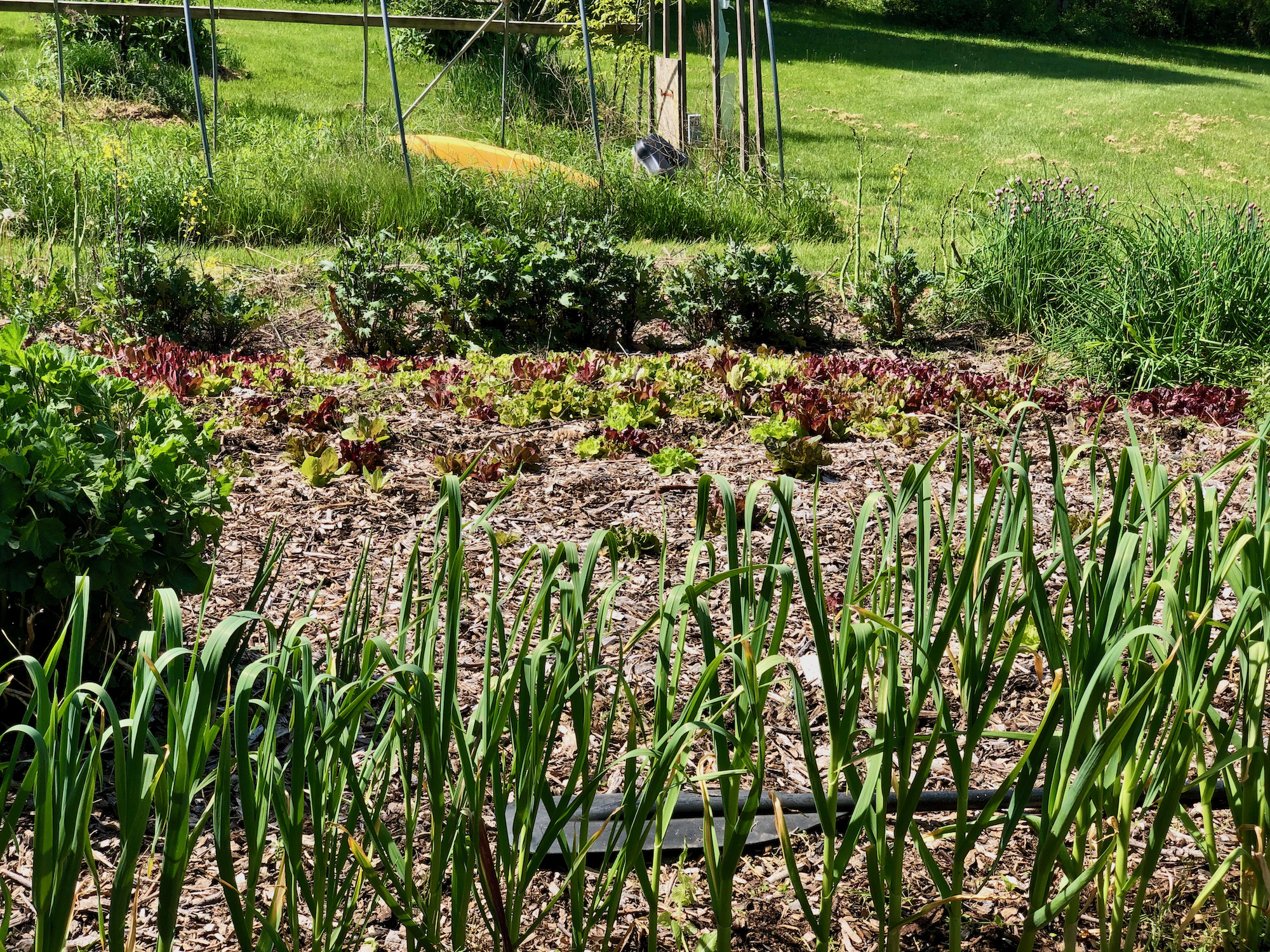 Raised Bed Garden Wintered Well.jpeg