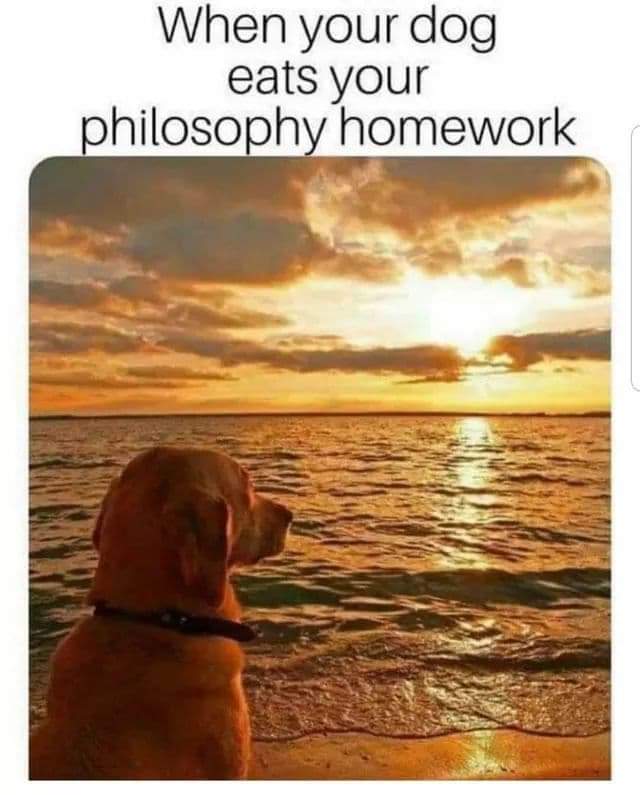 received_386340938838100.jpeg